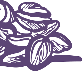 Illustrated granola and oats